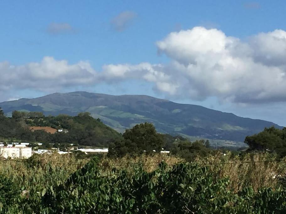 Villa Familia Ponta Delgada Buitenkant foto